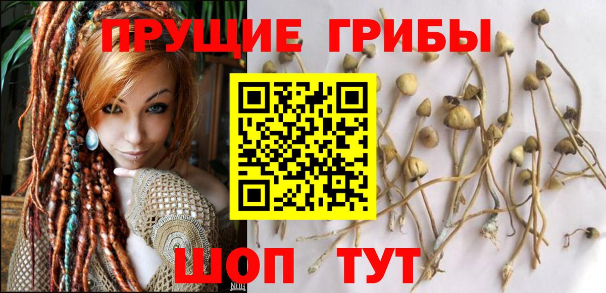 Псилоцибиновые грибы мухоморы  Вход с VPN  Луховицы 