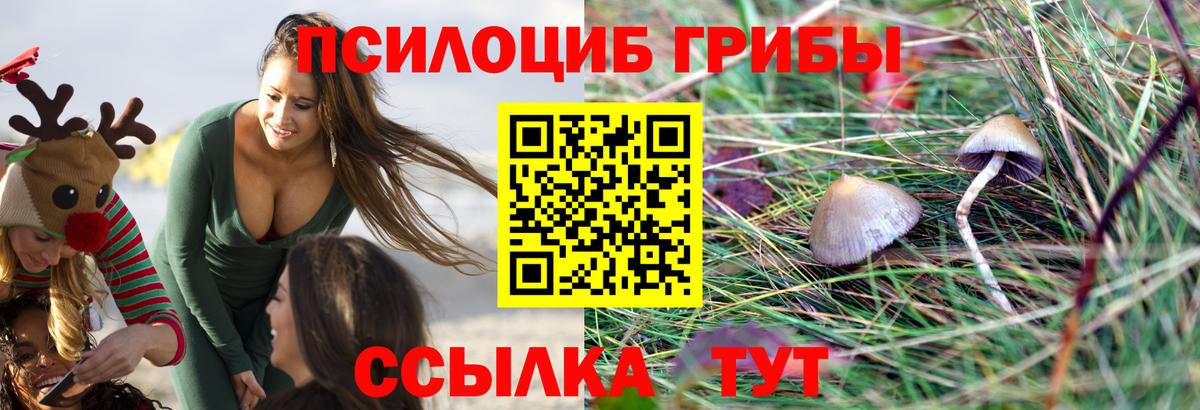 Марихуана Луховицы